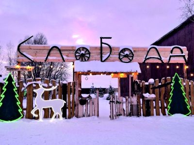 Билеты на Новый год в конном клубе (Пермэнергосбыт) / Событие | Афиша | ИнфоТаймс