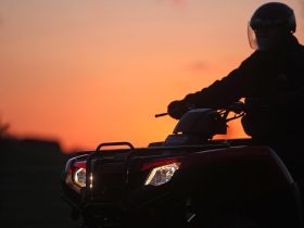 Квадроцикл HONDA TRX420