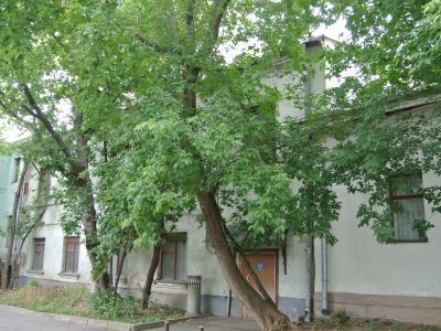 Службы, середина XIX в., 2-я половина XIX в.