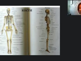 Международный вебинар «Общие правила организации движений ослабленных и парализованных пациентов»