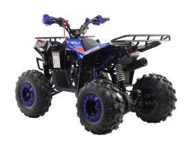 Квадроцикл MOTAX Grizlik A125