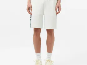Мужские шорты Lacoste из эластичного хлопка