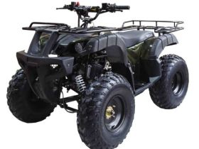 Квадроцикл WELS ATV Thunder 150