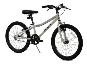 Детский велосипед Pifagor Level 20, год 2023, цвет Серый