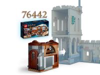 Harry Potter 76447 Конструктор Замок Хогвартс: Уроки полёта