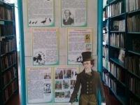 Новоелюзанская сельская библиотека