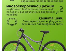 Горный велосипед Stark Slash 29.1 D, год 2024, цвет Черный-Фиолетовый, ростовка 22