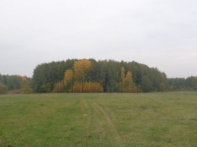 Священная роща