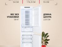 Встраиваемый холодильник Hansa BK307.2NFZC