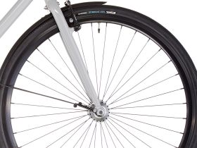 Электровелосипед Fixie Inc . Backspin Zehus, год 2024, цвет Серый, ростовка 23