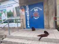 Библиотека-филиал с. Черниговка