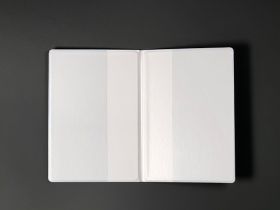 Обложка для паспорта "Домой летим"