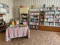 Червишевская сельская библиотека