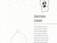 Книга "365 дней рисования. Пошаговые техники для начинающих художников"