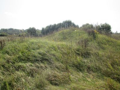 Родина Героя Советского Союза С.В. Бурченкова, погибшего в январе 1945 г.