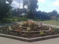 Парк «Дубки»