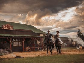 День на Диком западе