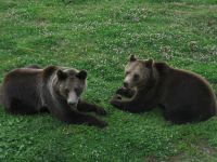 Ярославский зоопарк