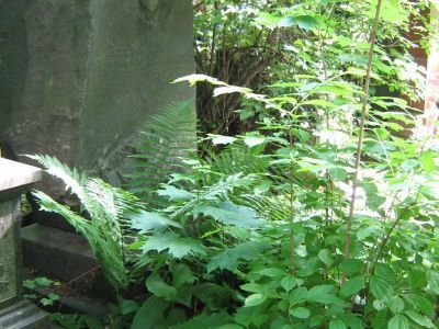 Могила Степанова Павла Ивановича (1880-1947)