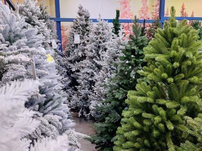 За неправильную утилизацию елки россиянам грозит штраф до четырех тысяч рублей