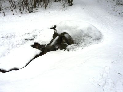Скульптура у источника ("Голова")
