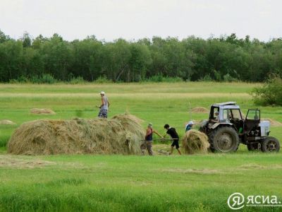 На 1 августа план по заготовке сена в Якутии выполнен на 27%