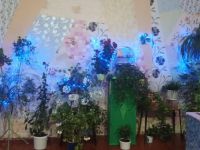 Чебаклинский сельский дом культуры