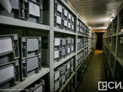 В криохранилище в Якутии разместят семена растений из зарубежных стран