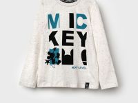 Фуфайка трикотажная для мальчиков (футболка с длинными рукавами)