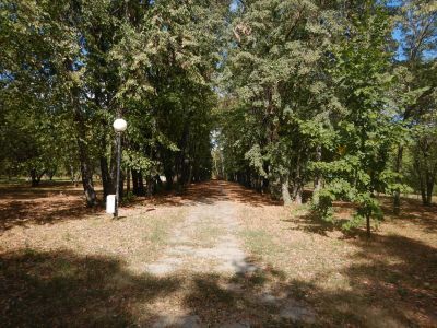 Усадьба «Удеровка» Станкевичей, парк