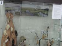 Балаганский историко-этнографический музей им. А. С. Башинова