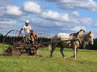 Хангаласский и Амгинский районы Якутии лидируют по выполнению плана сенокосной кампании