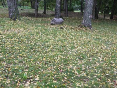 Дом генерала Форстера (фундамент)