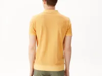 Мужское хлопковое поло Lacoste стандартного кроя