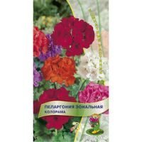 Пеларгония зональная Колорама