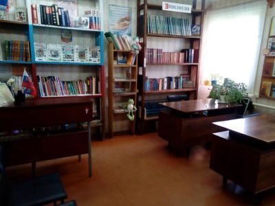 Больше-Лисицинская сельская библиотека