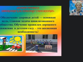 Вебинар "Формирование навыков безопасного поведения у детей дошкольного возраста с нарушениями зрения"