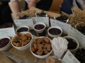 В Якутске стартовал всероссийский фестиваль «Наука 0+»