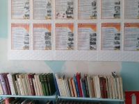 Новоелюзанская сельская библиотека