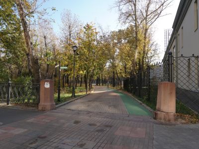 Сквер "Девичье поле"