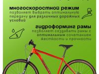 Горный велосипед Stinger Element 29, год 2025, цвет Оранжевый, ростовка 22