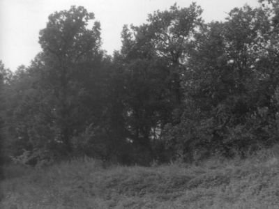 Парк усадебный