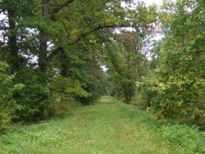 Усадьба Э.Н. Железновой. Парк