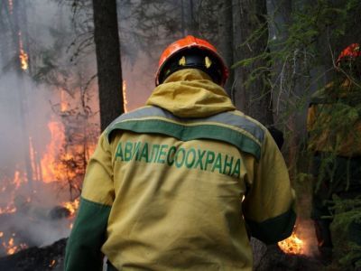 Информация по лесопожарной обстановке в Мирнинском районе на 12 июля