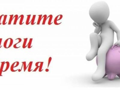 До понедельника налоговая ждет