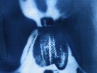 Набор для цианотипии nuance.