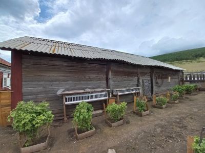 Хоз. постройка