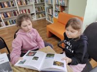 Ривзаводская сельская библиотека-филиал