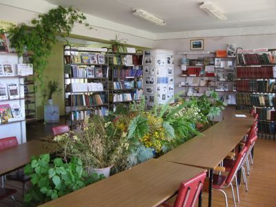 Буланихинская модельная библиотека