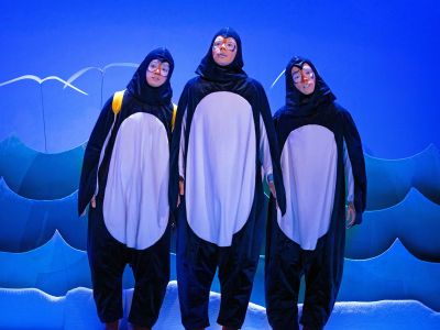 Билеты на Новый год на острове пингвинов (Театр Терезы Дуровой) / Театр | Афиша | ИнфоТаймс